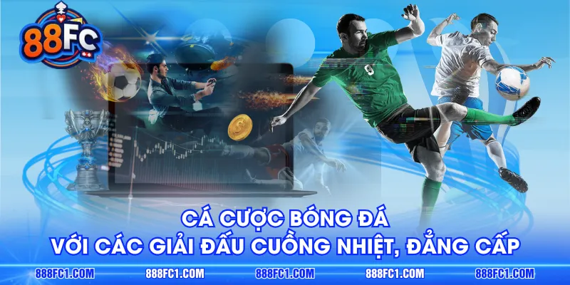 Cá cược bóng đá với các giải đấu cuồng nhiệt, đẳng cấp