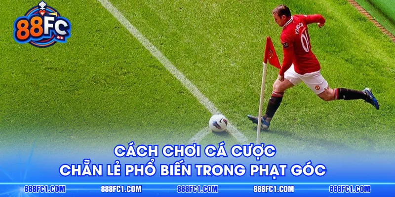 Cách chơi cá cược chẵn lẻ phổ biến trong phạt góc