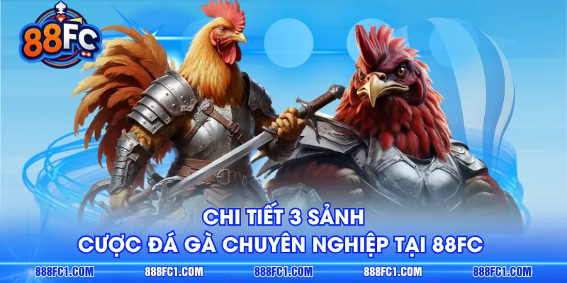 Chi tiết 3 sảnh cược đá gà chuyên nghiệp tại 88FC 