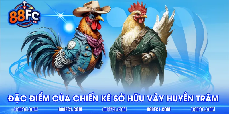 Đặc điểm của chiến kê sở hữu vảy huyền trâm