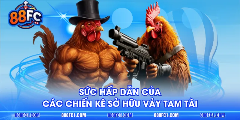 Sức hấp dẫn của các chiến kê sở hữu vảy tam tài