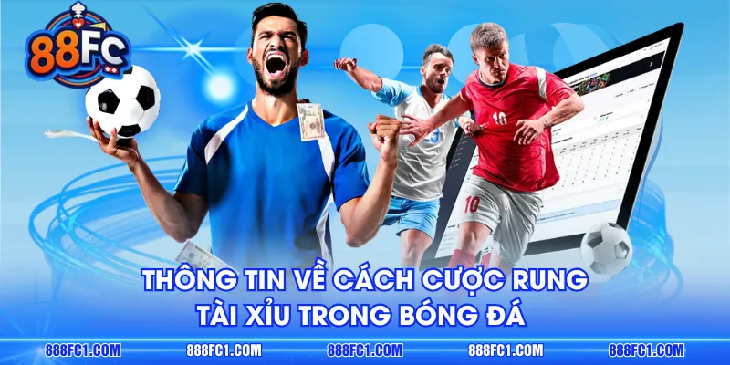 Thông tin về cách cược rung tài xỉu trong bóng đá